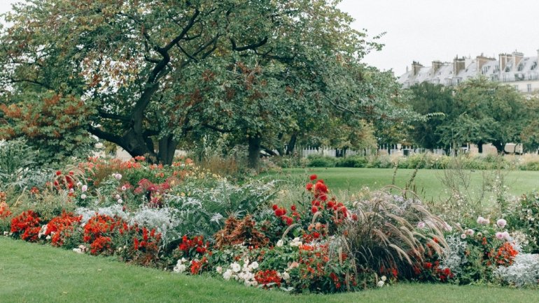 Beautiful spring travel destination with vibrant blooming flowers and a scenic landscape, ideal for a memorable spring vacation.