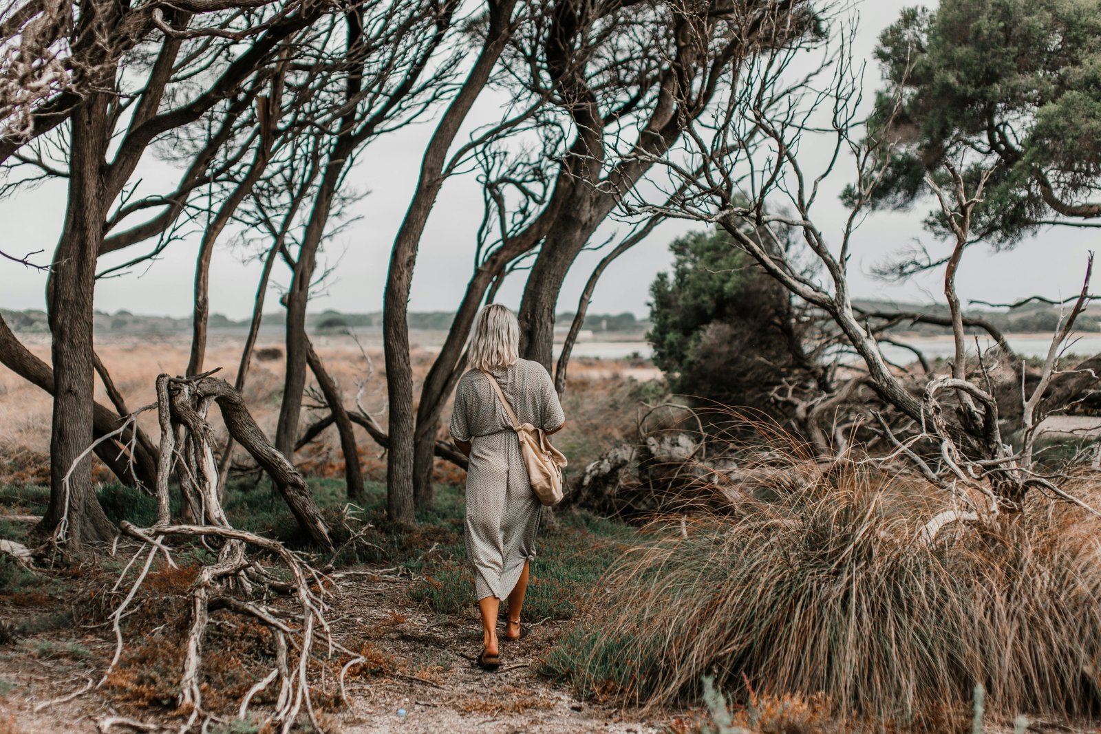 A solitary figure stands at a fork in a yellow wood, contemplating two similar forest paths, illustrating the true, nuanced meaning of Robert Frost's 'The Road Not Taken' poem about choice, memory, and the stories we tell about our lives.