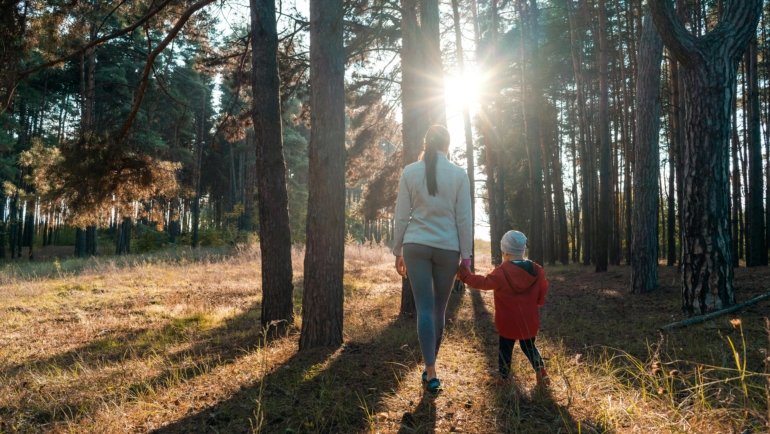 A solitary figure walking on a winding path towards a hopeful light, symbolizing a spiritual journey of faith and divine guidance, illustrating Bible quotes about travel.