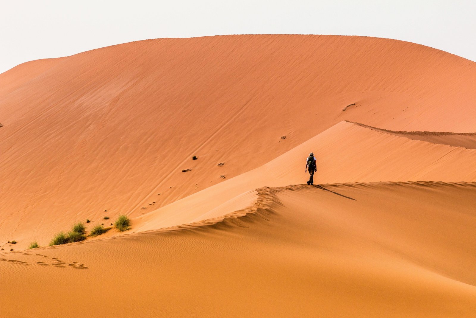 Traveler enjoying a safe adventure in Namibia's vast landscape, emphasizing the importance of travel insurance for peace of mind during safaris and remote exploration.