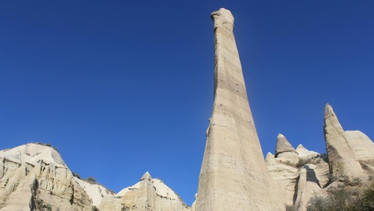 Limestone pinnacles in the golden desert landscape of Pinnacles Desert, Western Australia