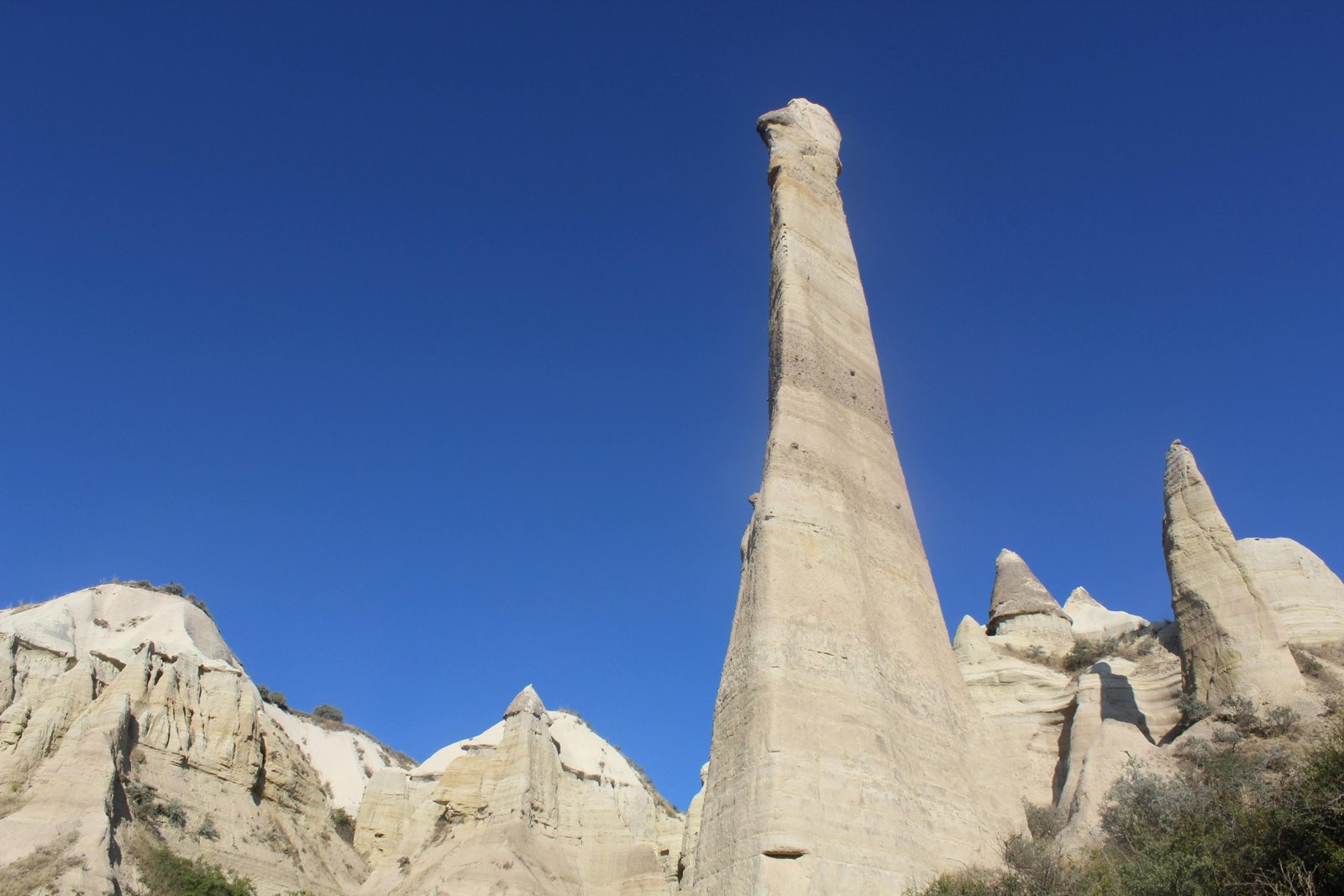 Limestone pinnacles in the golden desert landscape of Pinnacles Desert, Western Australia