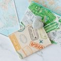 organized passport wallet with travel documents and credit cards for secure and stress-free travel