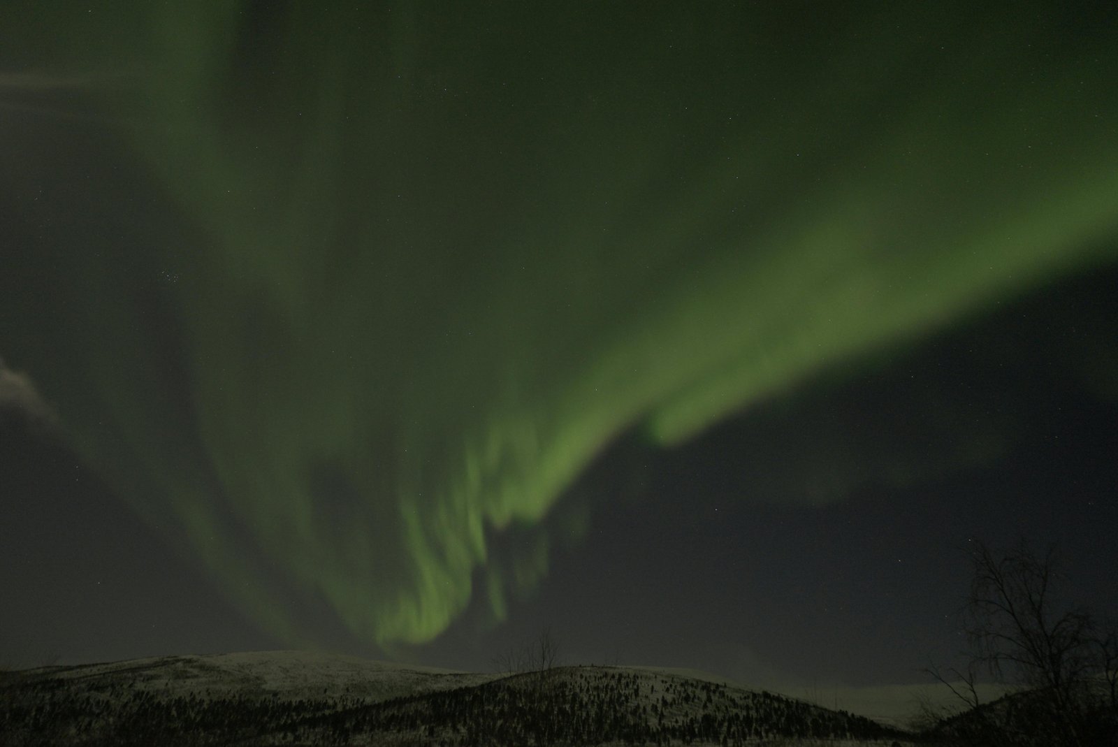 Northern Lights over snowy Finnish landscape in winter with forests and mountains