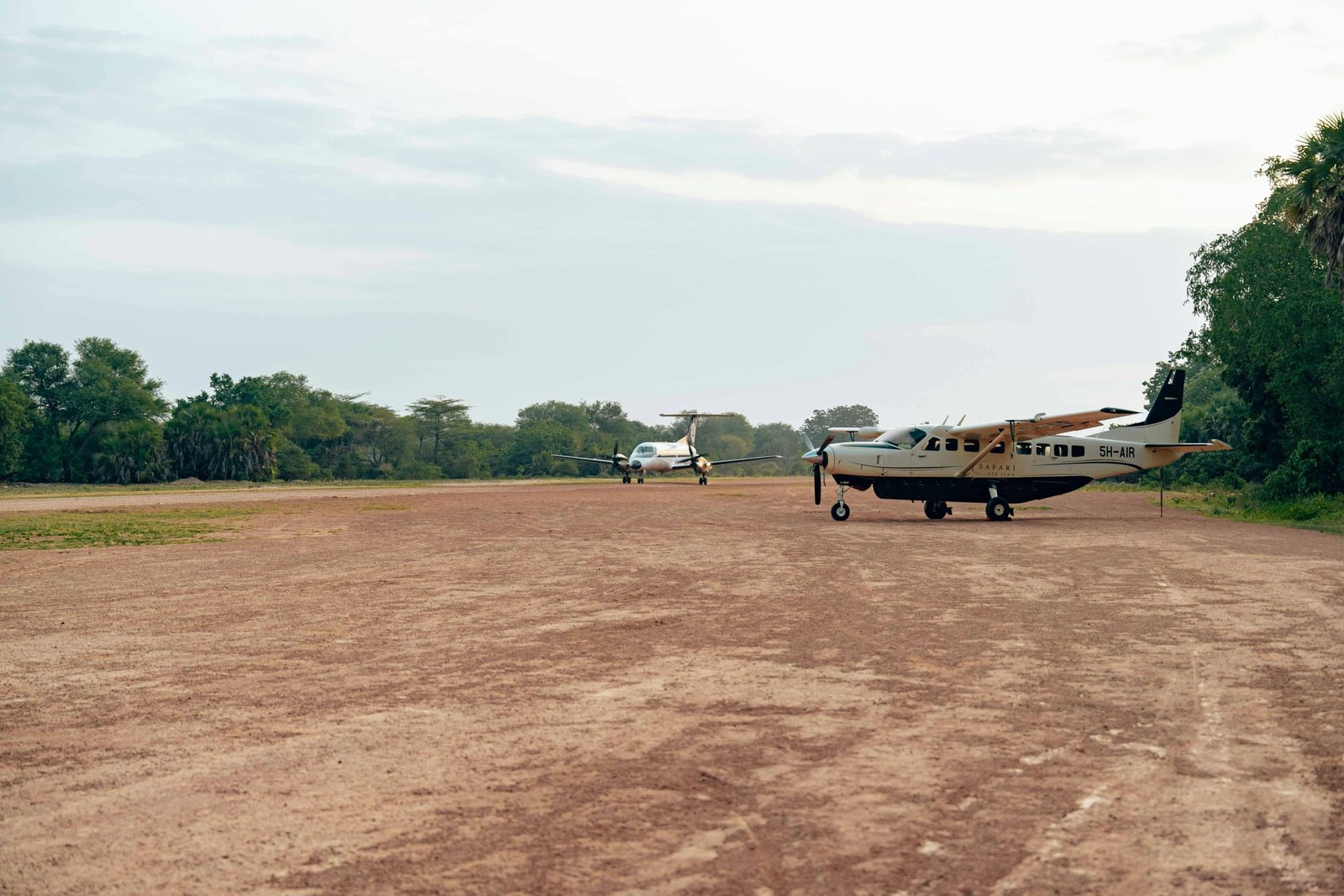 Small charter plane landing on a remote forest airstrip near gorilla trekking park in East Africa