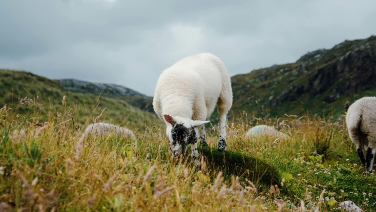Traveler wearing comfortable and breathable merino wool clothes outdoors during a versatile trip