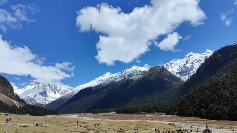 Panoramic view of Sikkim hills with snow-capped mountains and lush greenery, showcasing nature and travel in Northeast India