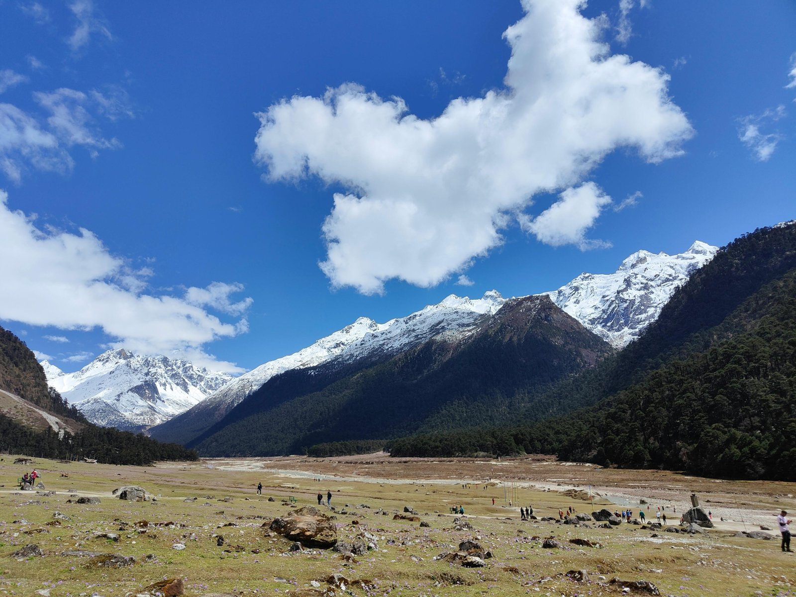 Panoramic view of Sikkim hills with snow-capped mountains and lush greenery, showcasing nature and travel in Northeast India