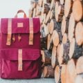 Stylish 17 inch laptop travel bag with padded compartments and adjustable straps, ideal for protecting large laptops during travel