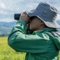 Traveler looking through compact travel binoculars in a natural setting, enjoying clear and detailed views of wildlife and scenery