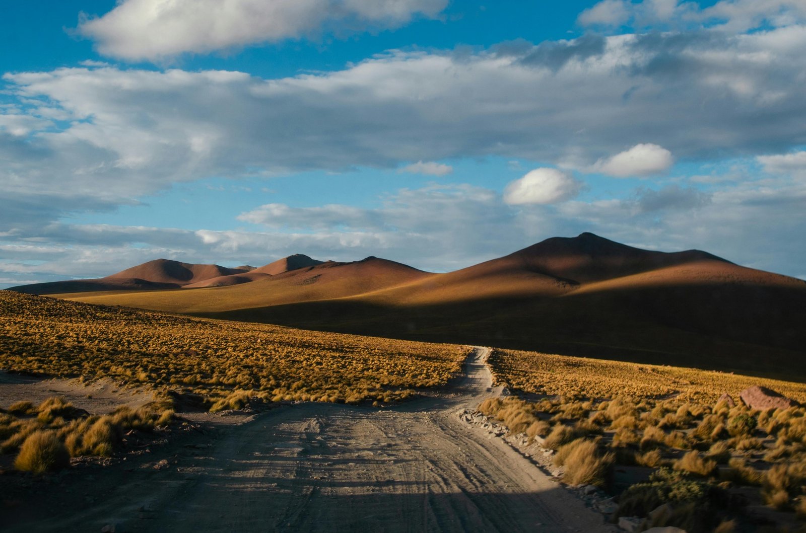 Scenic view of South America's mountains, rainforest, and beaches representing ideal travel destinations and seasons
