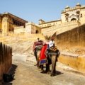 Traveler enjoying a cultural tour of iconic Indian landmarks and local traditions