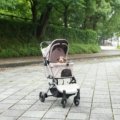 pet travel carrier with wheels showing comfortable and easy transportation of a dog during travel