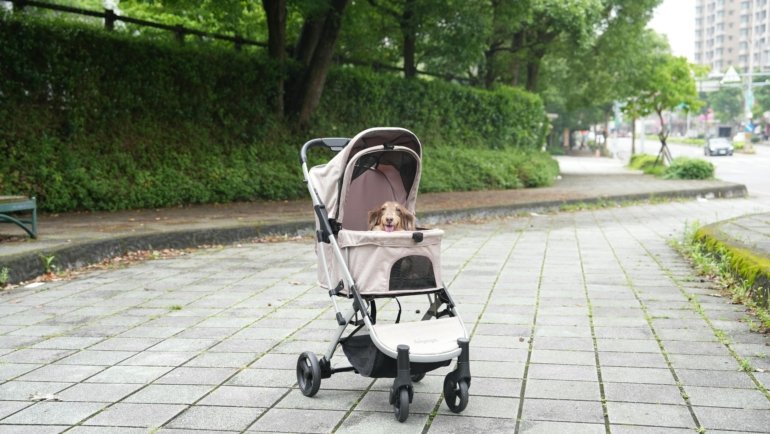 pet travel carrier with wheels showing comfortable and easy transportation of a dog during travel