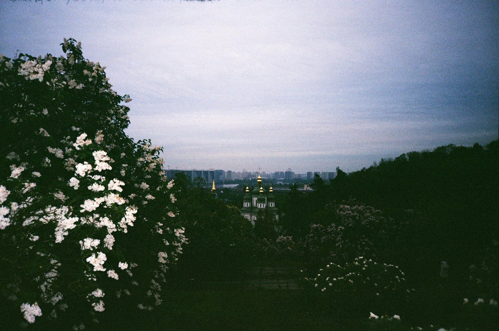 Beautiful European city with spring blossoms and sunny weather, perfect for May travel and cultural exploration