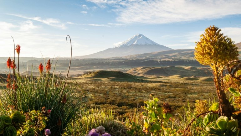 Scenic view of Ecuador’s Amazon rainforest, Andes mountains, and coast highlighting diverse natural landscapes for travel and adventure