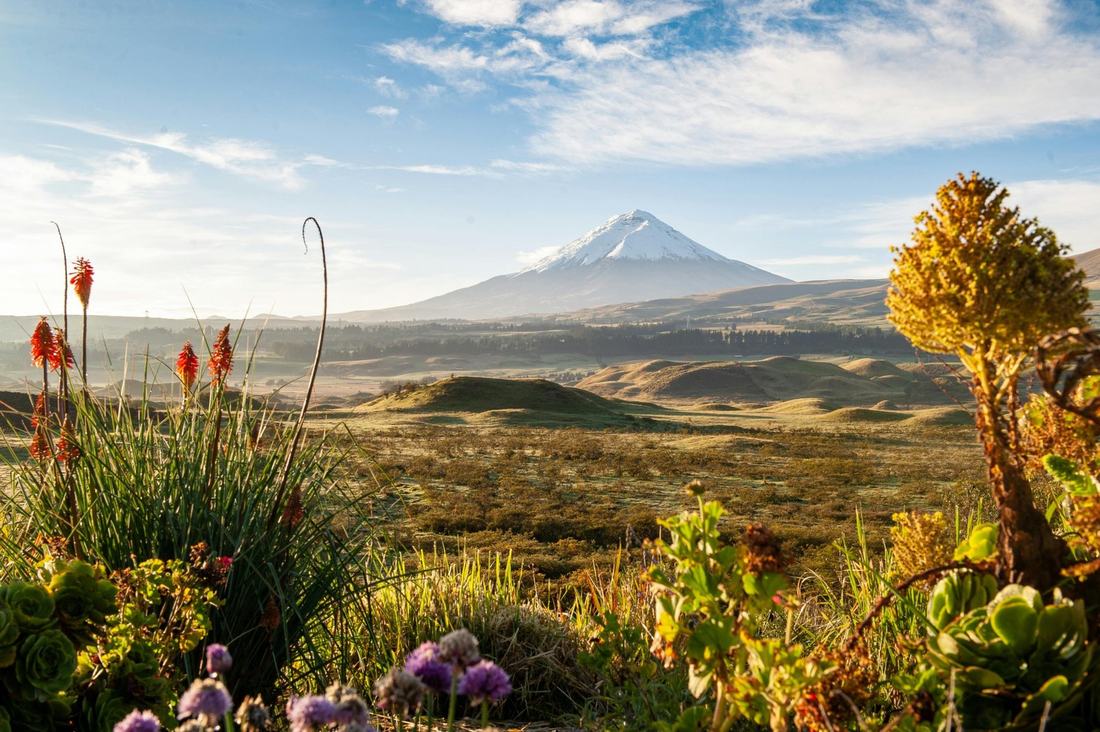 Scenic view of Ecuador’s Amazon rainforest, Andes mountains, and coast highlighting diverse natural landscapes for travel and adventure