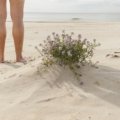 Relaxed people enjoying a naturist beach embracing freedom and body positivity in a natural setting