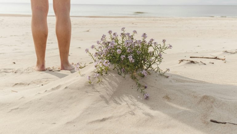 Relaxed people enjoying a naturist beach embracing freedom and body positivity in a natural setting