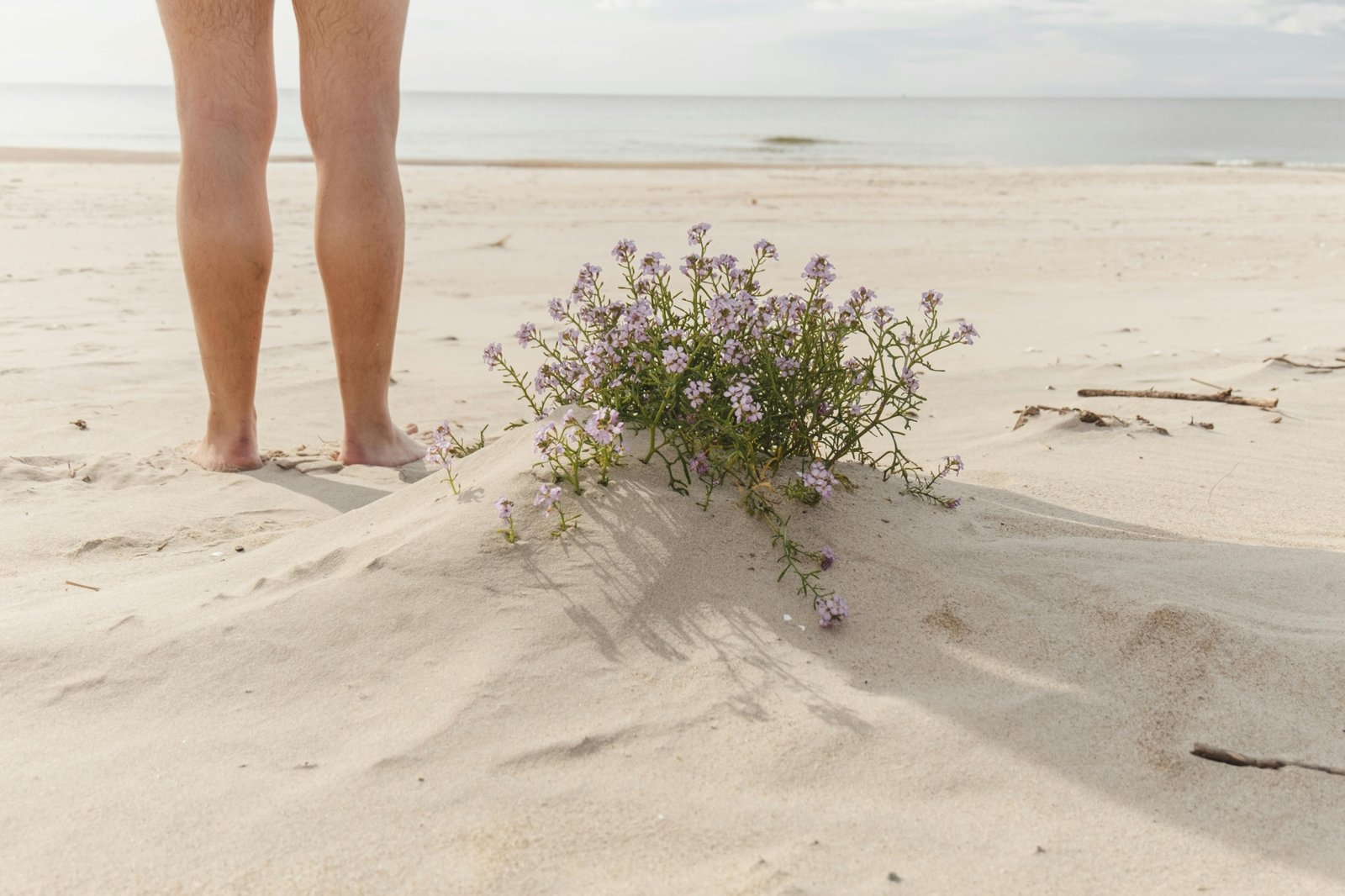 Relaxed people enjoying a naturist beach embracing freedom and body positivity in a natural setting