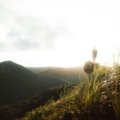 Scenic travel landscape with a lone traveler exploring vibrant destinations inspiring adventure and wanderlust