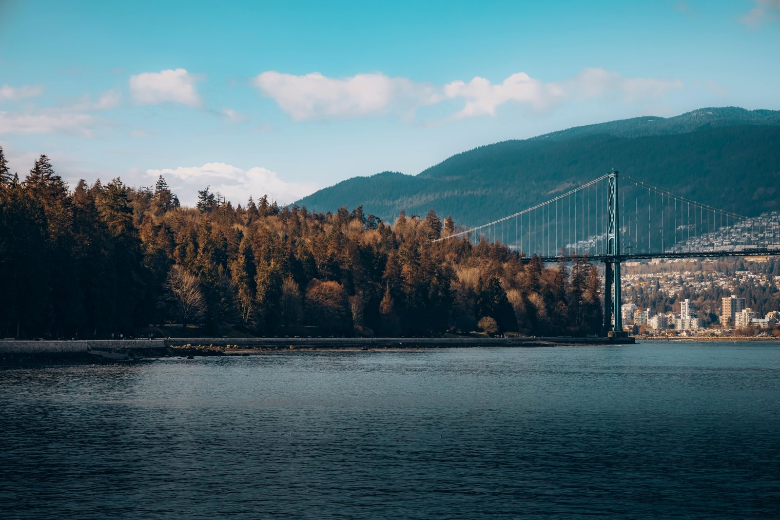 Scenic view of British Columbia landscape with mountains, forests, and ocean representing top travel destinations
