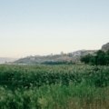 Israel spring landscape with wildflowers and historic sites, ideal travel season for sightseeing and cultural festivals