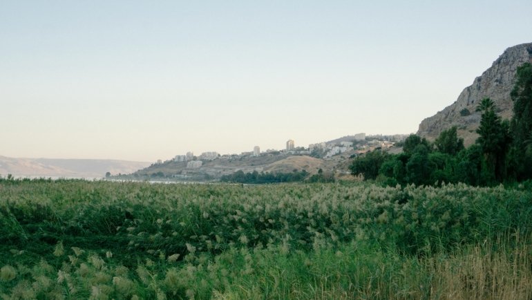Israel spring landscape with wildflowers and historic sites, ideal travel season for sightseeing and cultural festivals