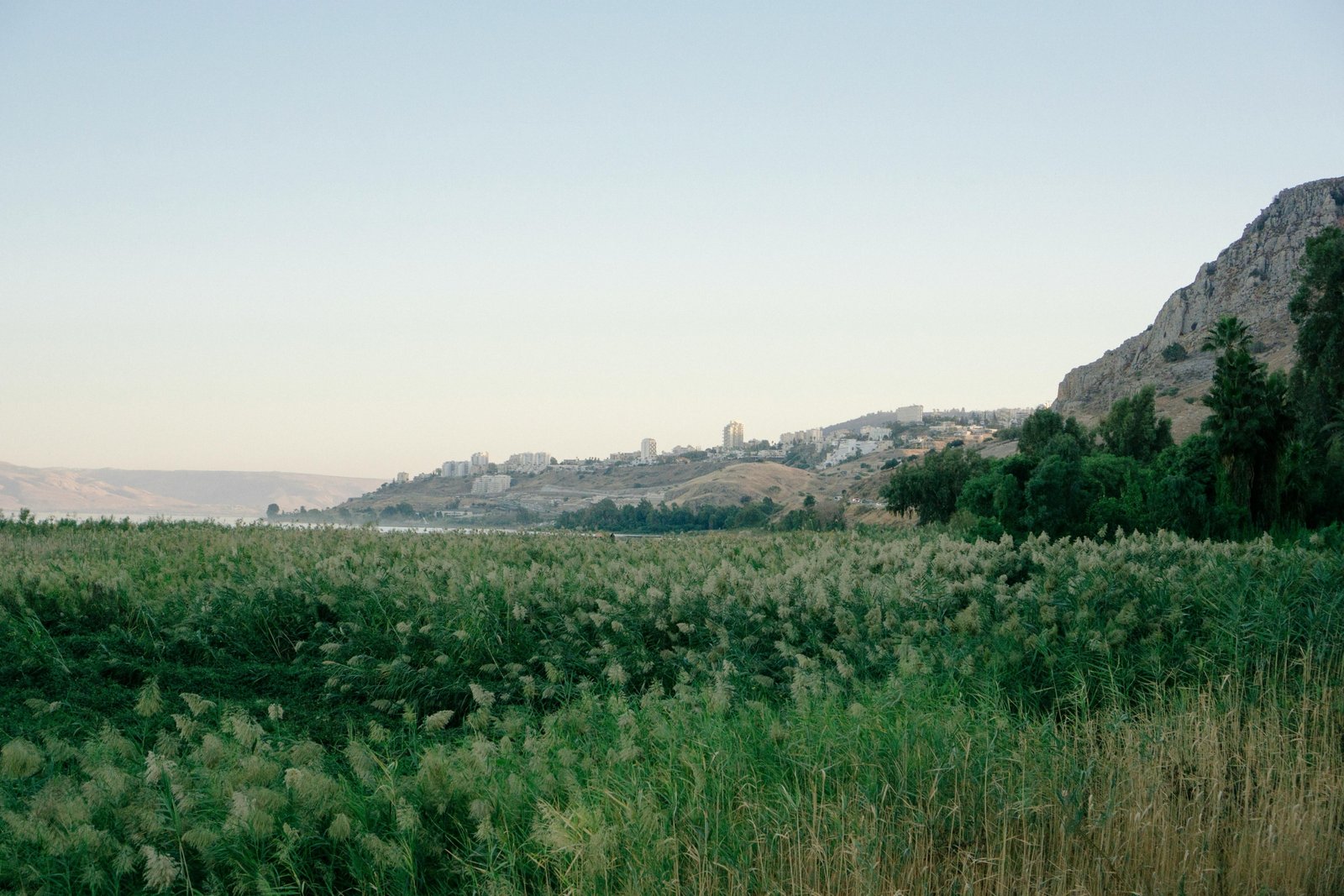 Israel spring landscape with wildflowers and historic sites, ideal travel season for sightseeing and cultural festivals