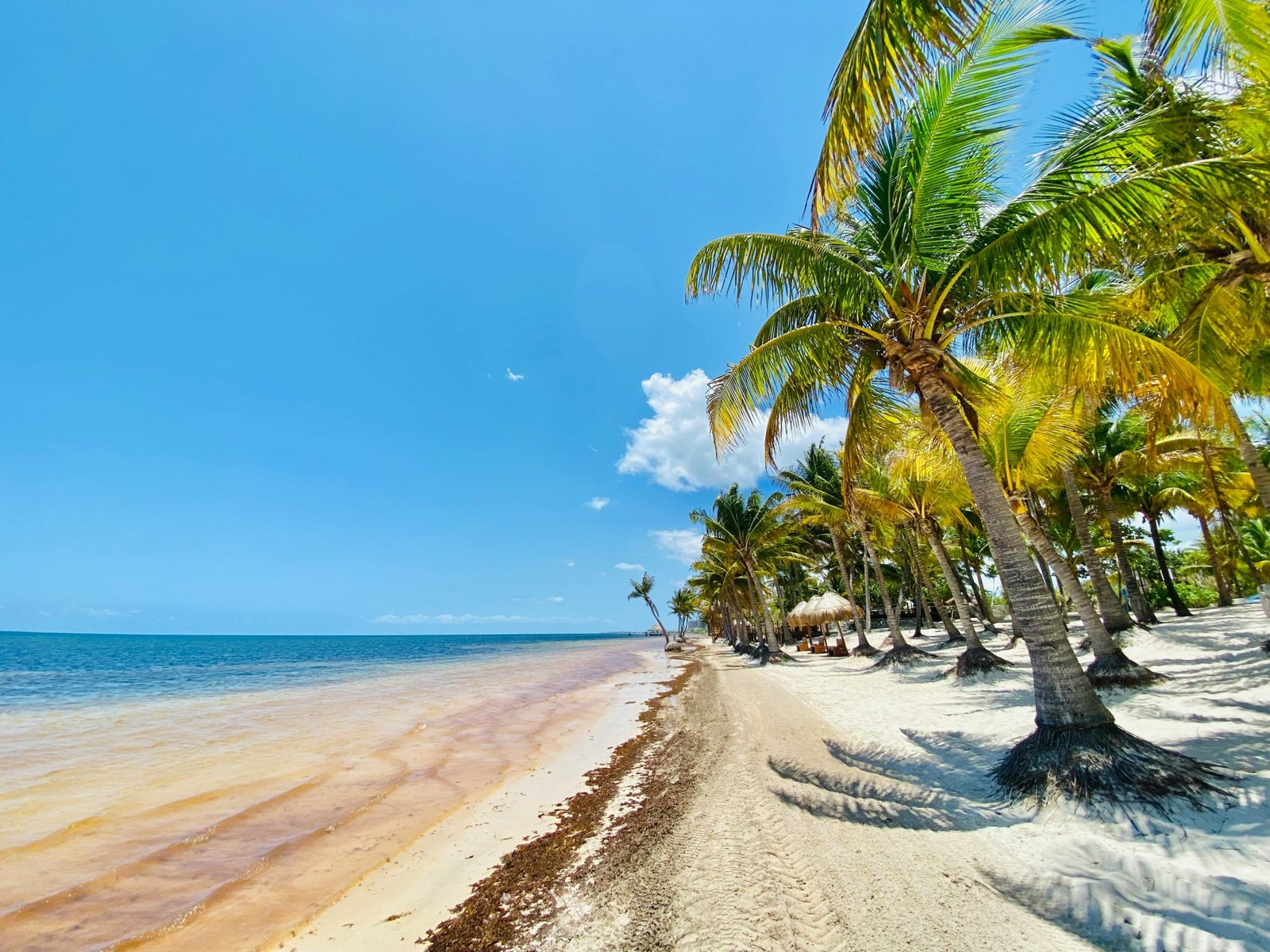 Sunny Belize beach in March with clear skies and turquoise waters ideal for snorkeling and outdoor activities