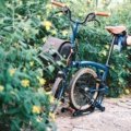 Durable bike travel case protecting bicycle during transport with wheels and padding