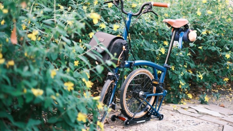 Durable bike travel case protecting bicycle during transport with wheels and padding