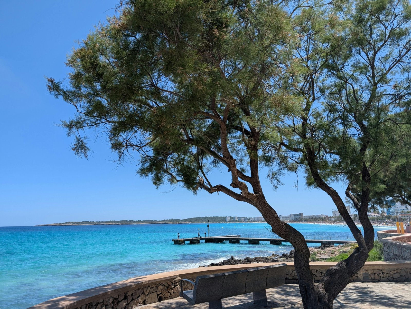 Scenic springtime beach and coastline view in Mallorca with blooming flowers and clear skies