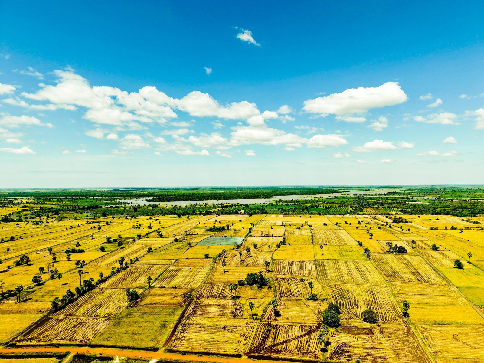 Scenic view of Vietnam and Cambodia landscape during the dry season with clear skies and cultural landmarks for ideal travel conditions