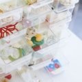 Organized travel jewelry with necklaces stored safely to prevent tangling and damage