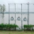 Electricity traveling through water highlighting electrical safety hazards near water bodies