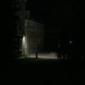 Urban rat moving close to building walls at night within typical travel distance from its nest