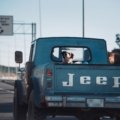 Dog safely harnessed in car on road trip with owner, illustrating dog travel accessories for comfort and safety