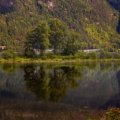 Scandinavian summer landscape with green forests and clear skies representing ideal travel time and outdoor adventures in Norway, Sweden, and Denmark