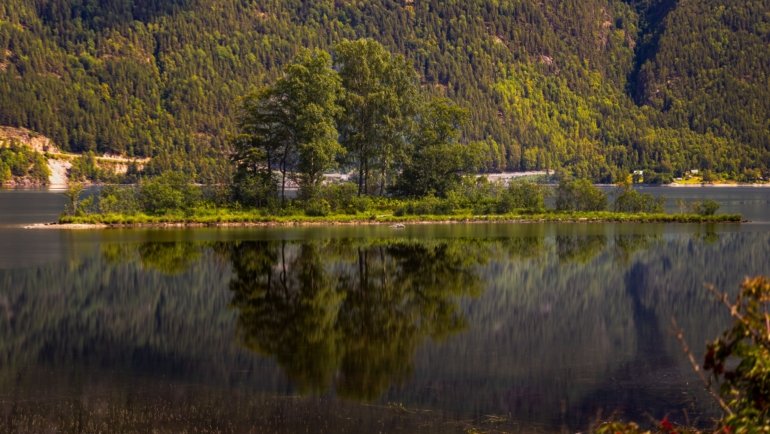Scandinavian summer landscape with green forests and clear skies representing ideal travel time and outdoor adventures in Norway, Sweden, and Denmark