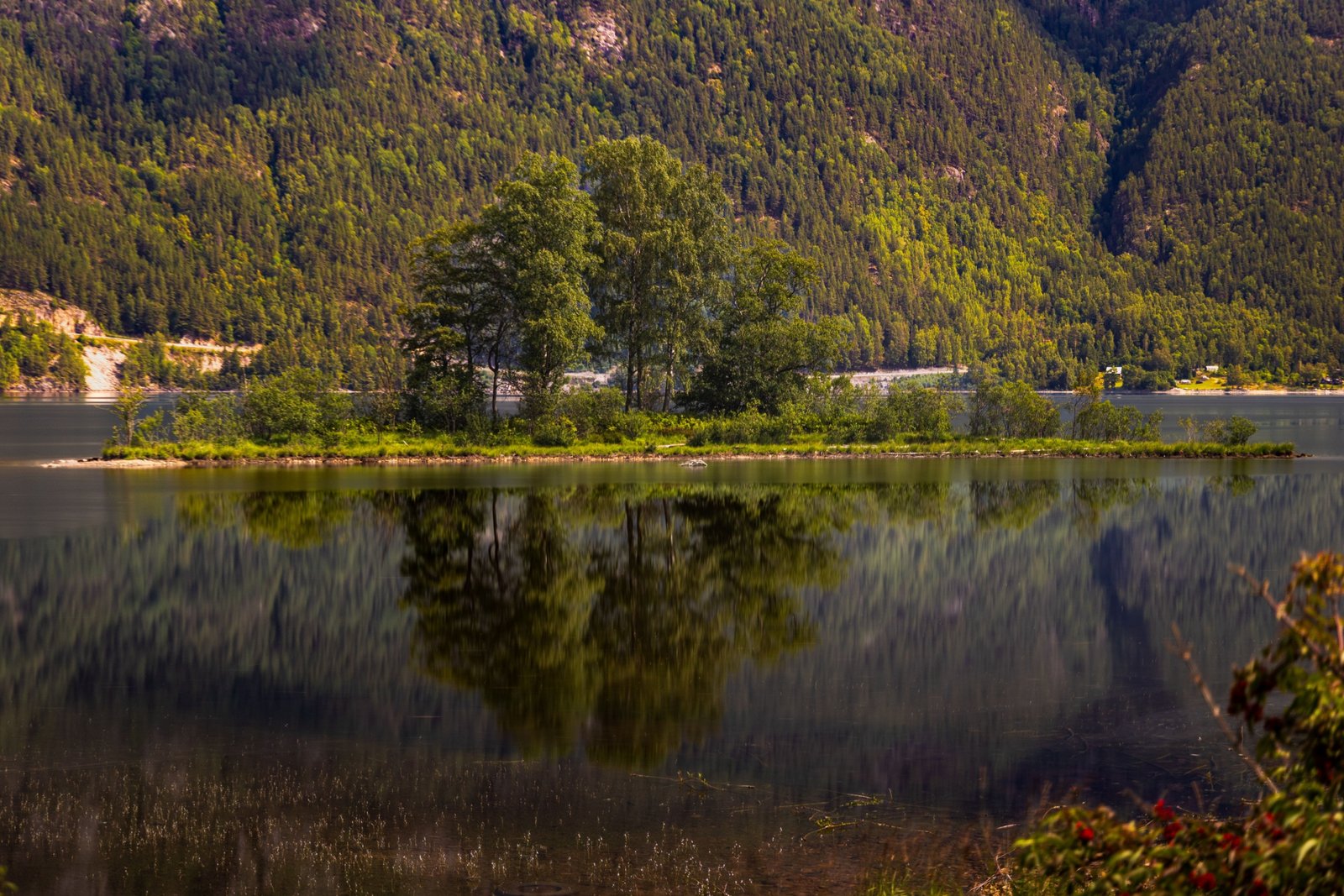Scandinavian summer landscape with green forests and clear skies representing ideal travel time and outdoor adventures in Norway, Sweden, and Denmark