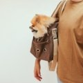 Wheeled dog travel carrier with a calm dog inside being rolled by owner for easy and comfortable travel