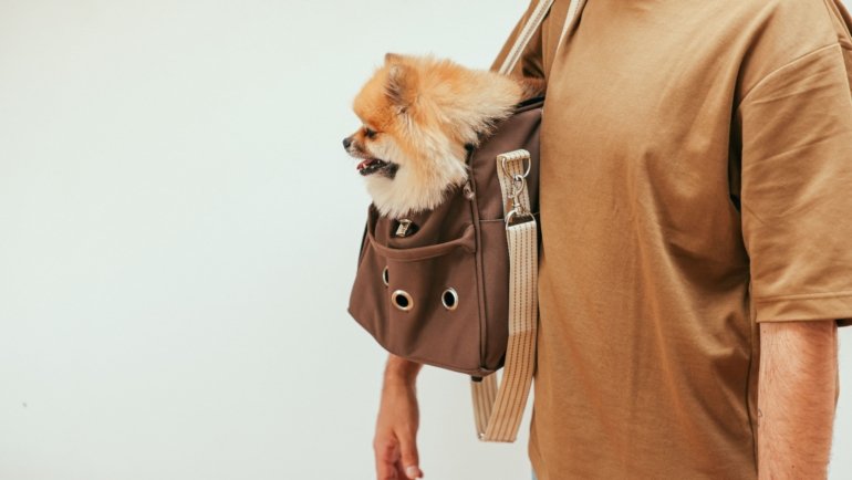 Wheeled dog travel carrier with a calm dog inside being rolled by owner for easy and comfortable travel