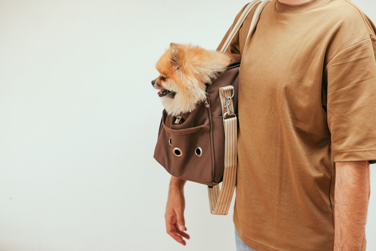 Wheeled dog travel carrier with a calm dog inside being rolled by owner for easy and comfortable travel