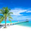 Sunny tropical beach in Tahiti with clear blue skies and turquoise water during the dry season