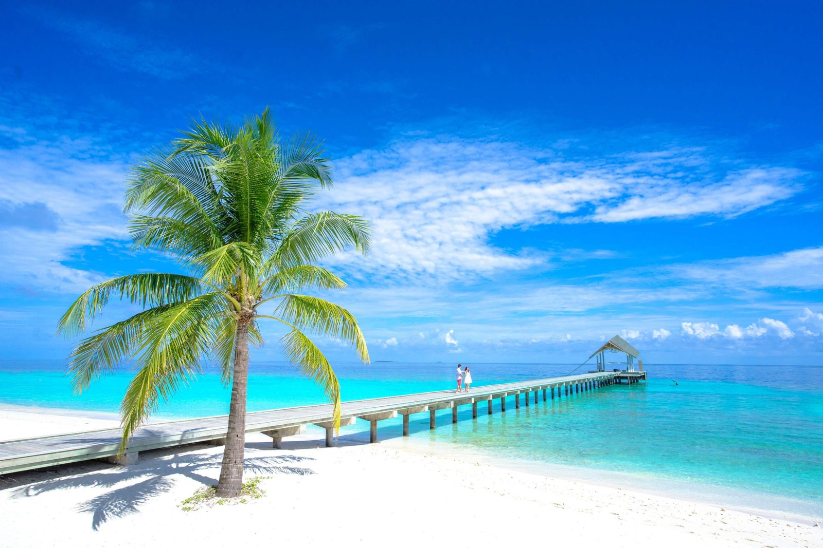 Sunny tropical beach in Tahiti with clear blue skies and turquoise water during the dry season