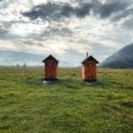 Portable camping toilet in natural outdoor setting for hygienic travel and adventure