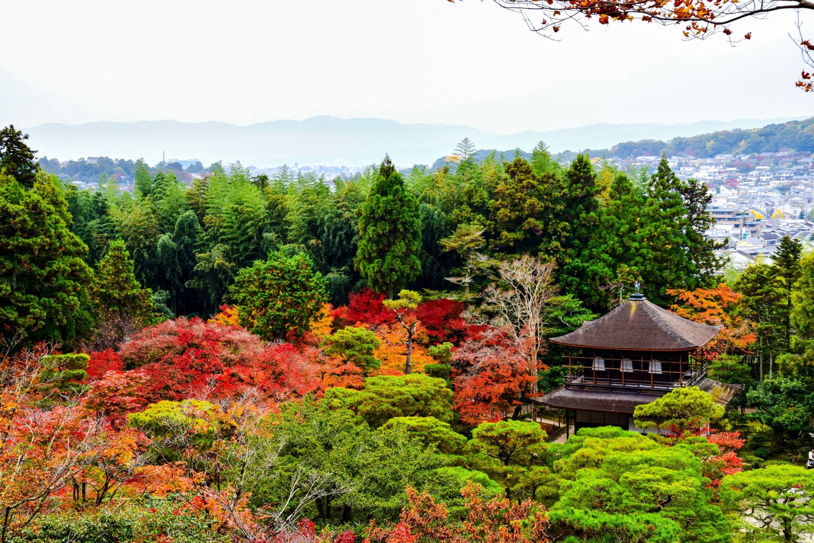 Scenic travel destinations ideal for November including warm weather, cultural festivals, and peaceful landscapes