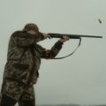 Shotgun shooting bird shot pellets outdoors demonstrating effective hunting range and pellet spread