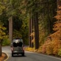 A motorhome driving on a scenic road surrounded by nature, symbolizing freedom and comfortable travel adventures